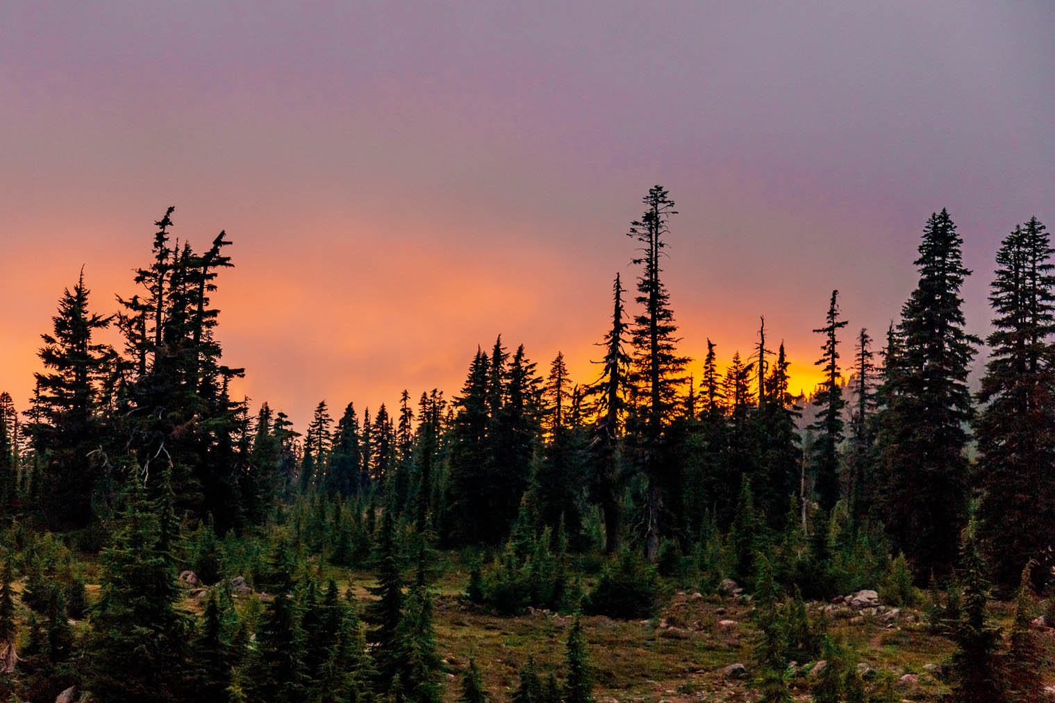 Purple and pink sunset in the Jefferson wilderness