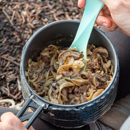 Hand holding a pot with beef stroganoff