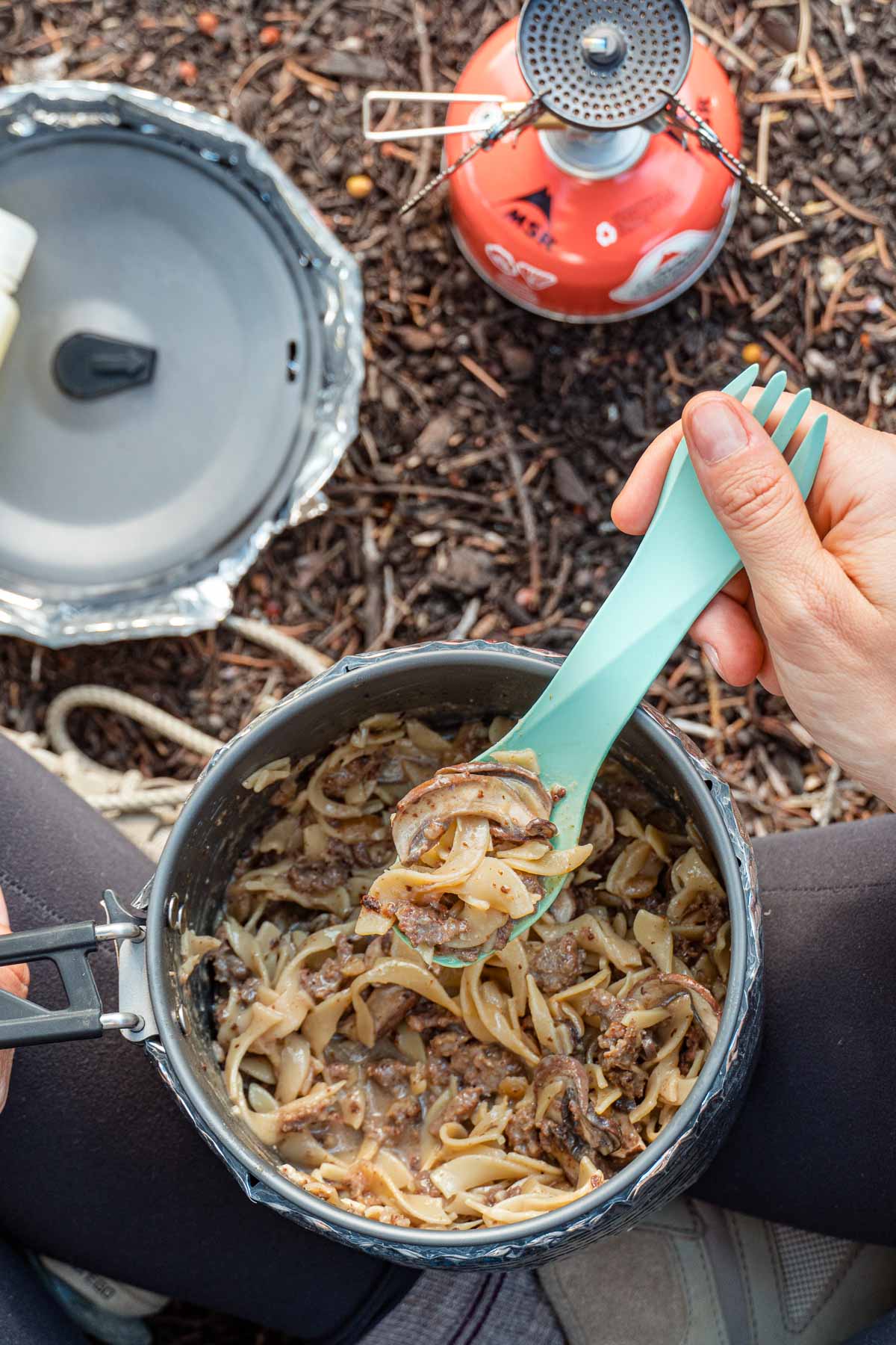 A pot of beef stroganoff with a natural background