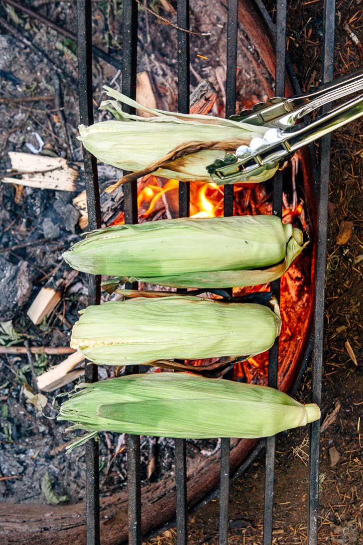 Four pieces of corn on the cob on a campfire