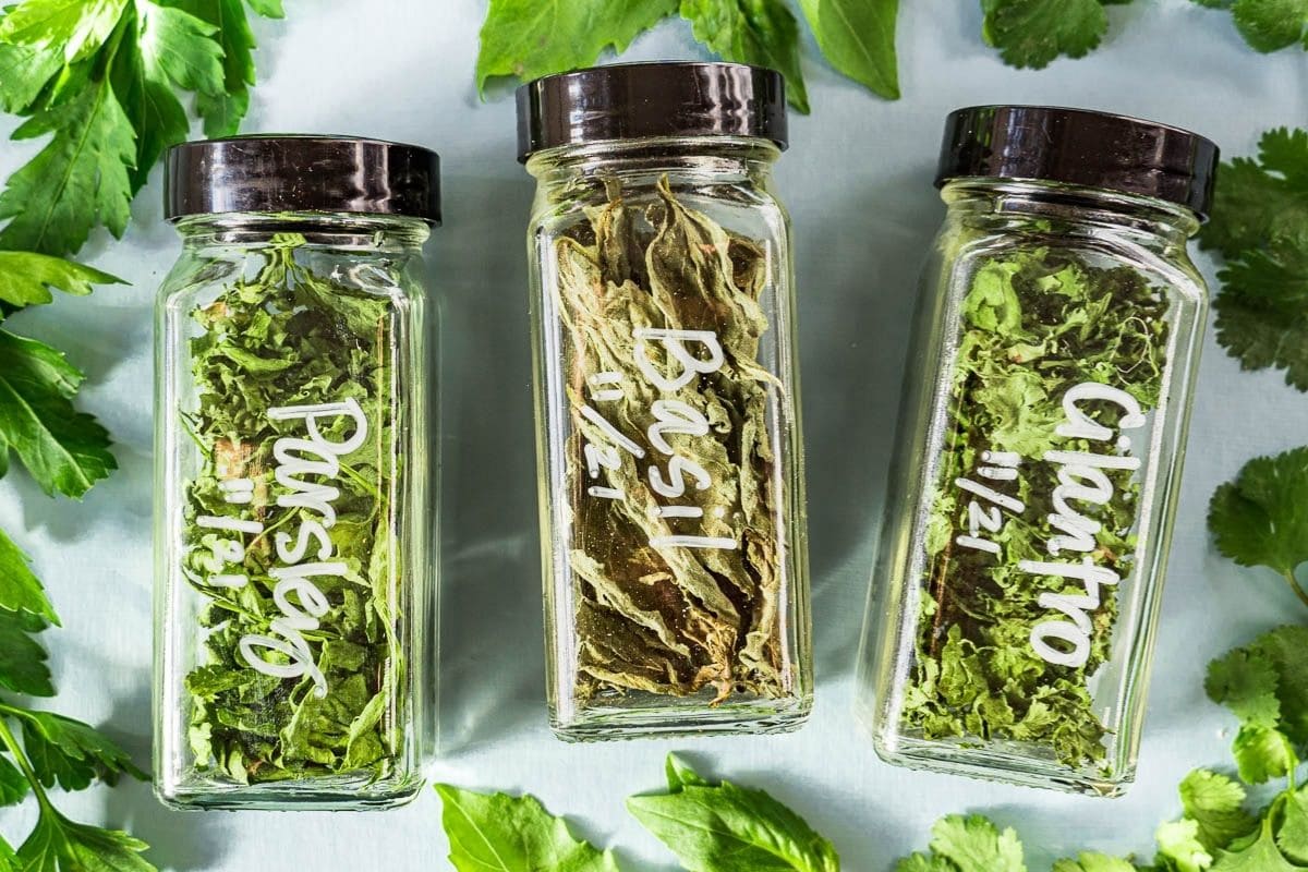 Dried herbs in glass jars