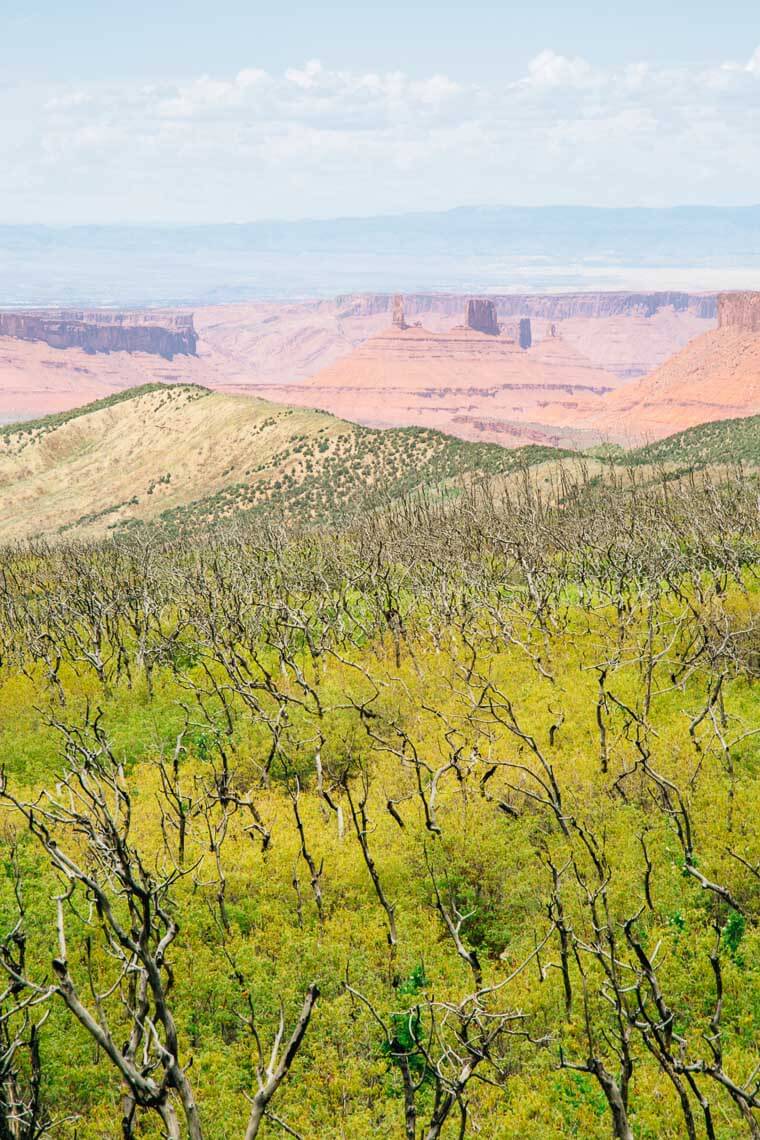 The view from the La Sal Mountain Loop