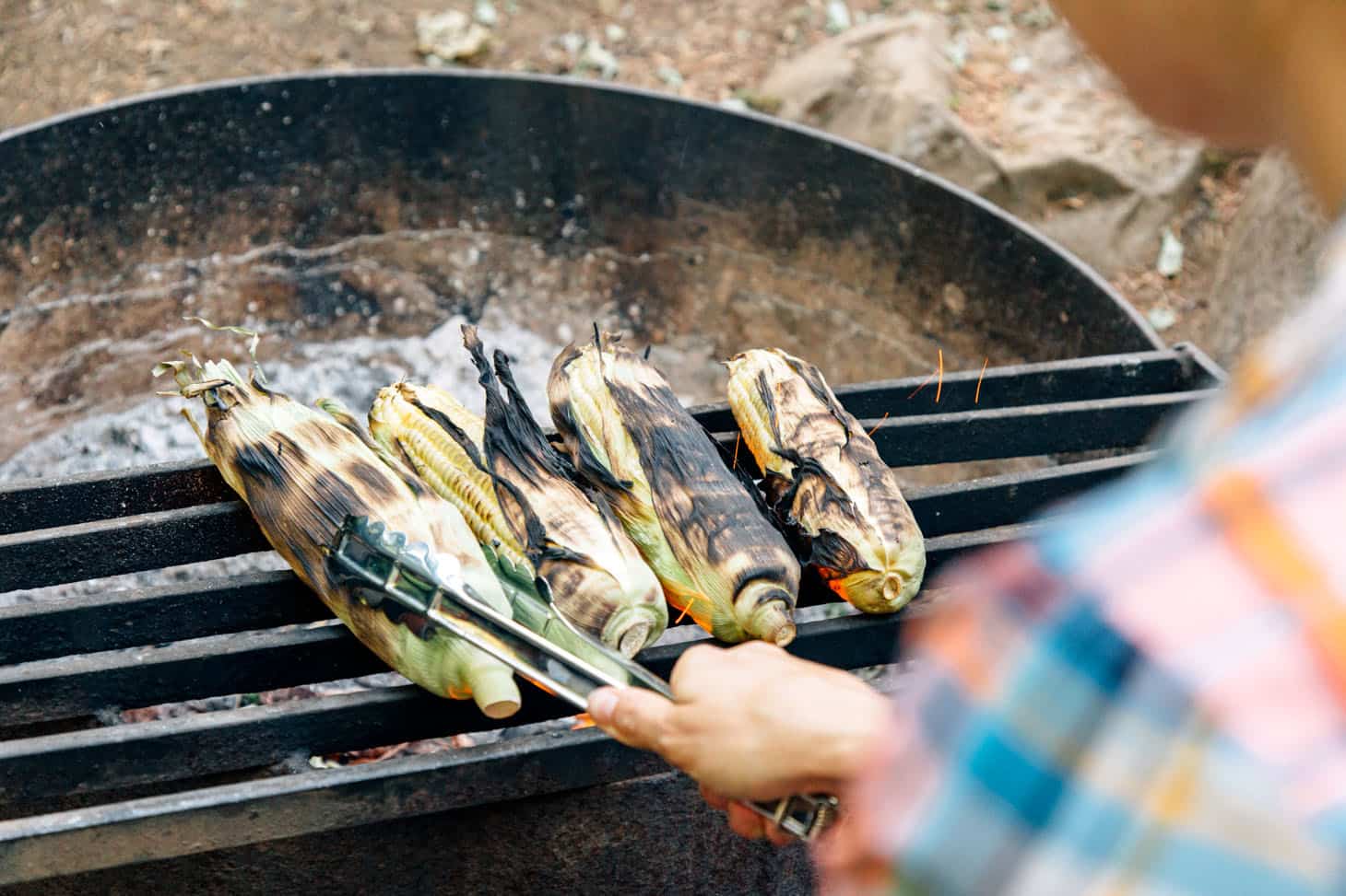 Grilling corn on a campfire