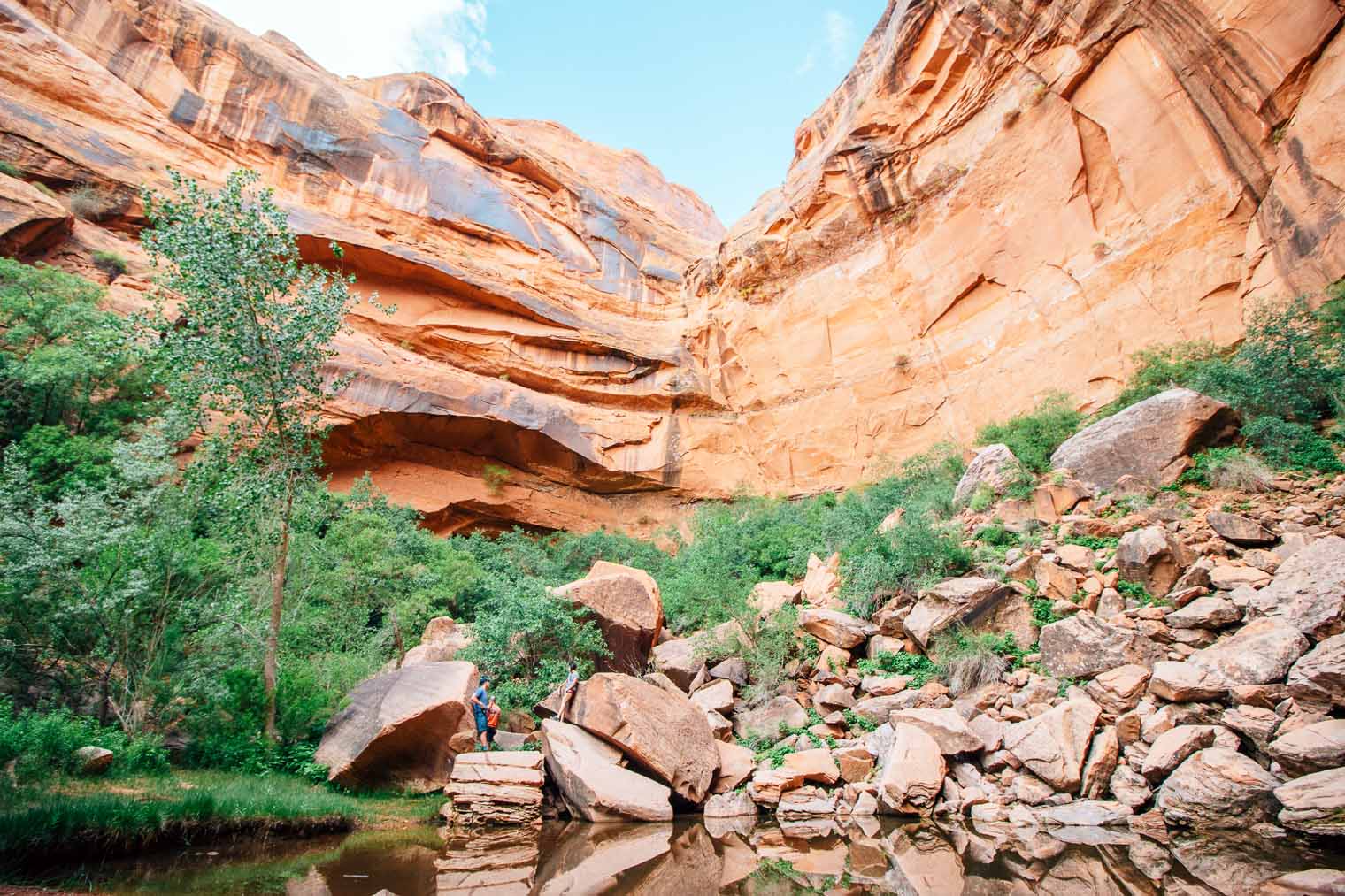 Looking up at the red rock walls in moonflower canyon