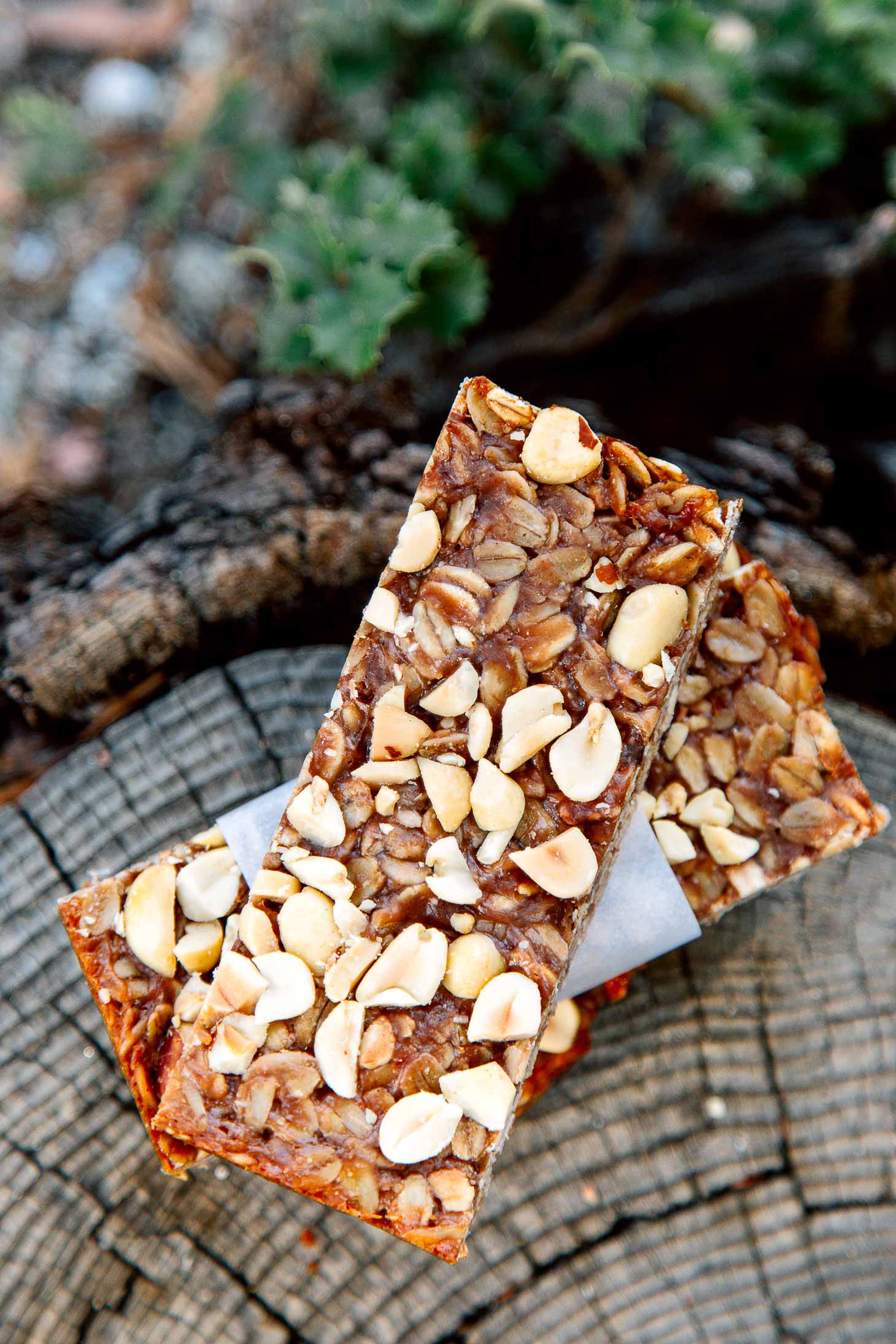 Peanut Butter and Jelly Granola Bars Recipe