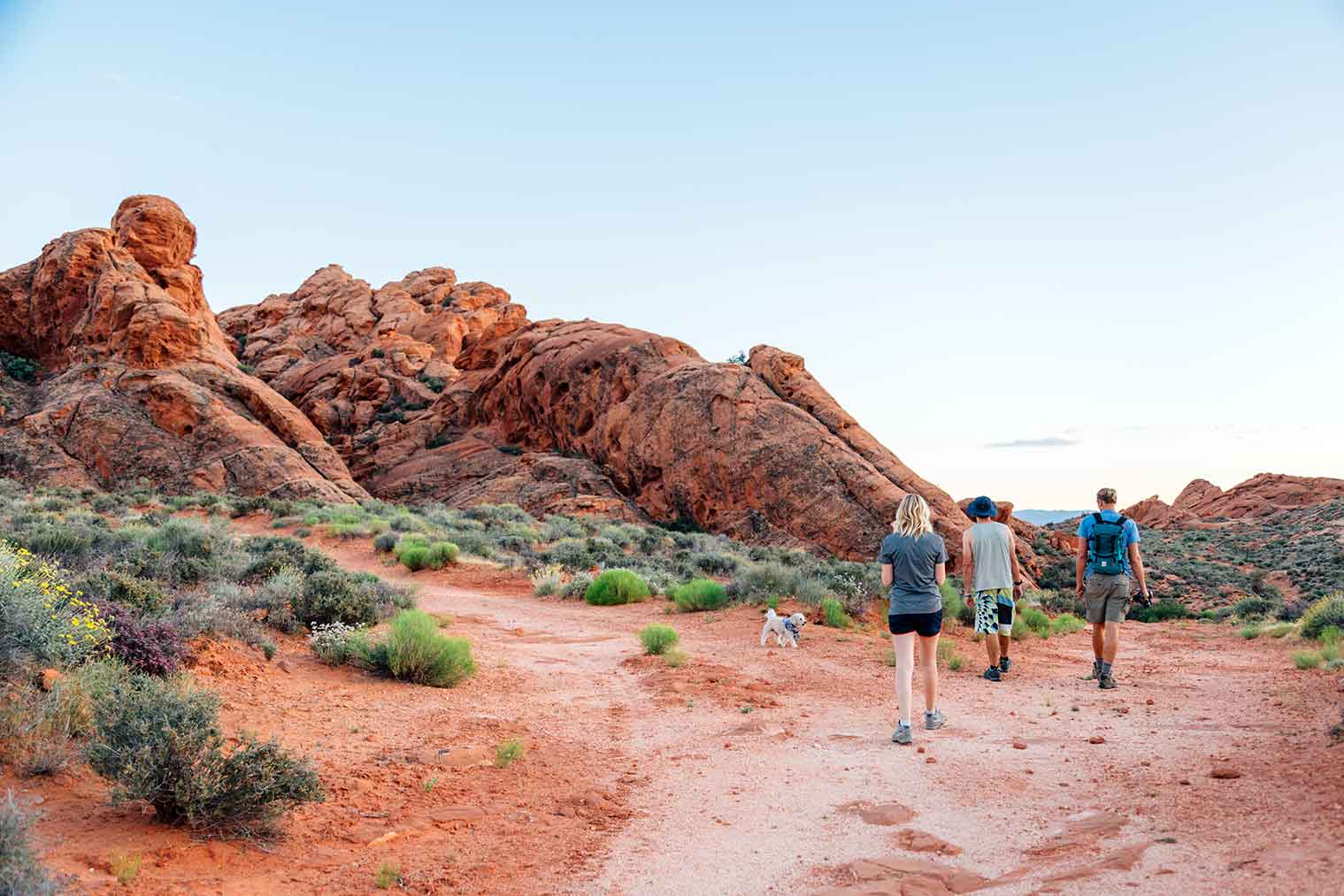 Three friends and a small dog hiking in the red Cliffs desert reserve