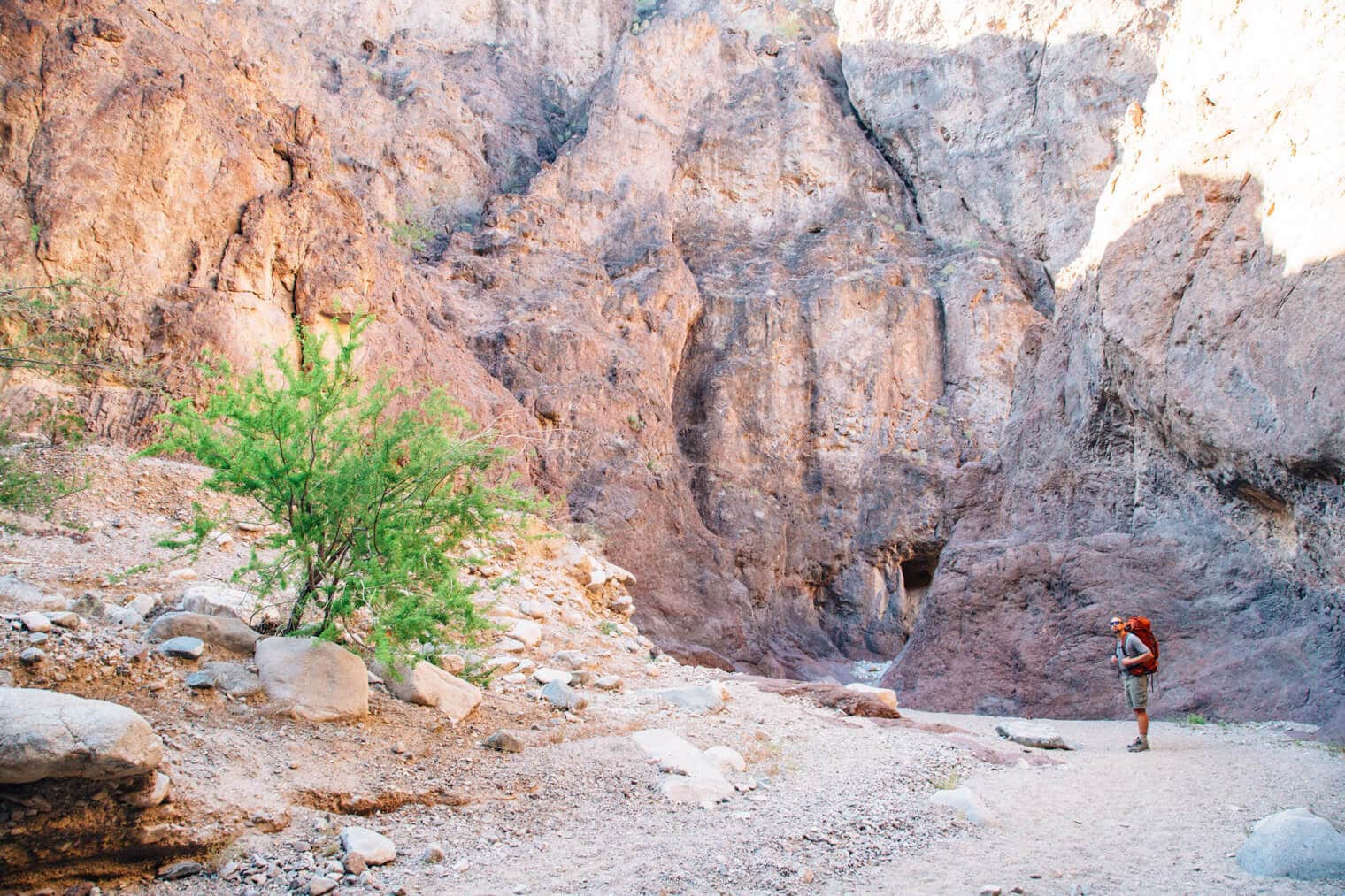 Michael standing on a trail in a canyon