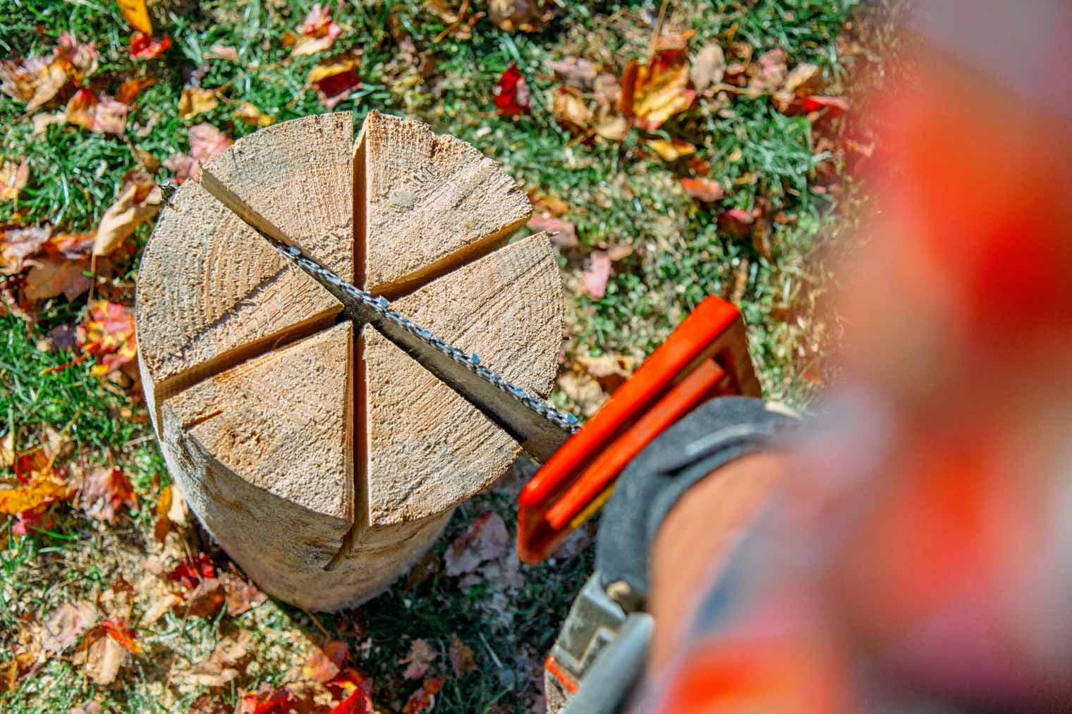 Michael using a chainsaw to cut a log