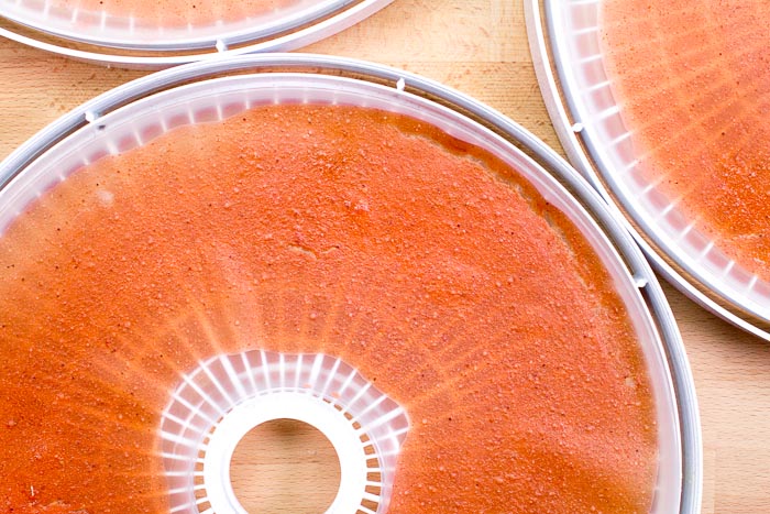 Overhead shot of dehydrated fruit leathers on a dehydrator tray.