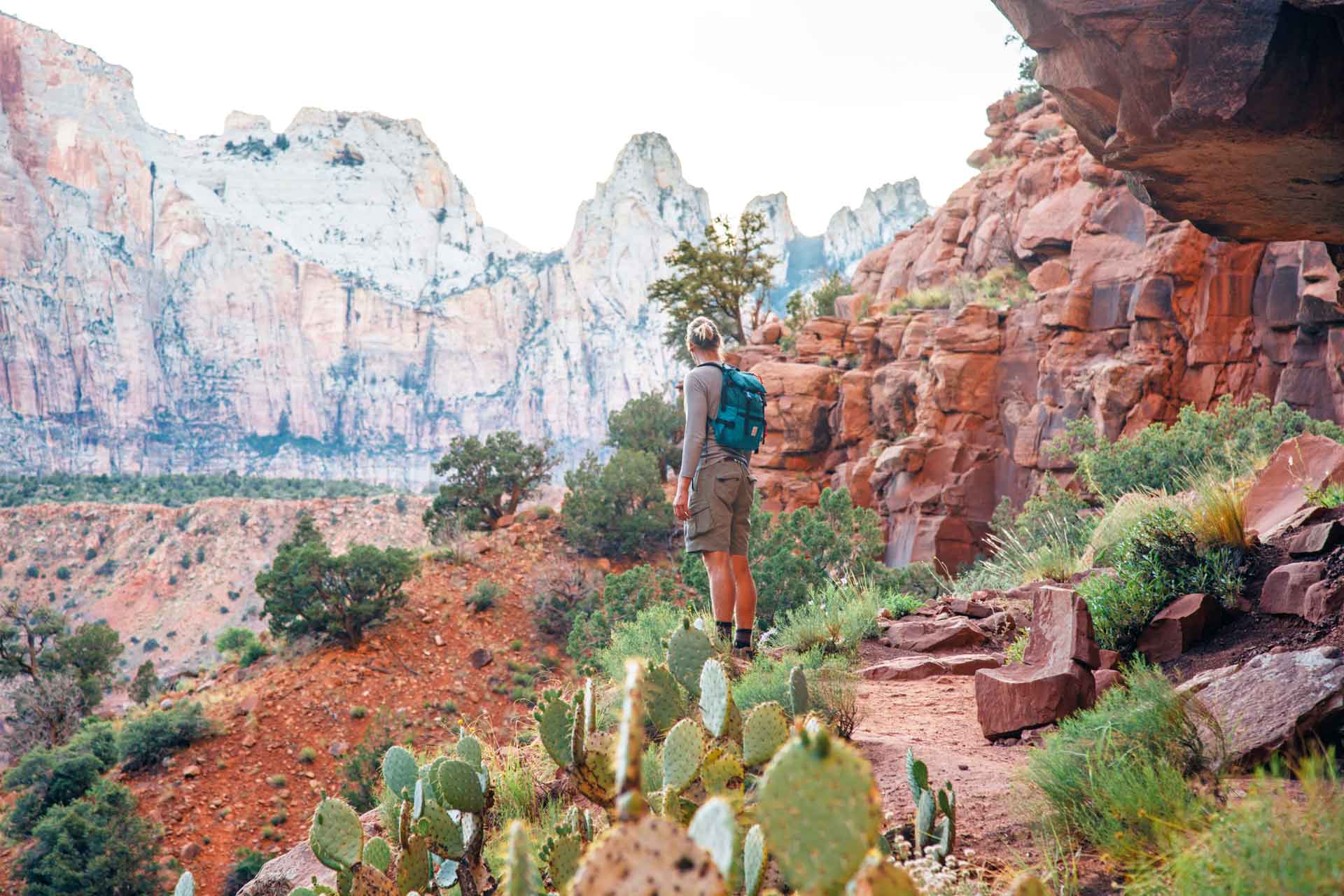 Michael taking in the view from the watchmen trail