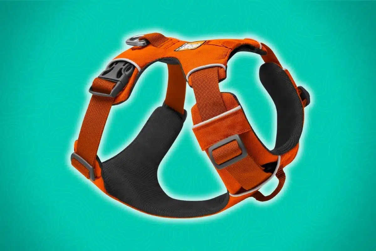 Ruffwear Harness product image.