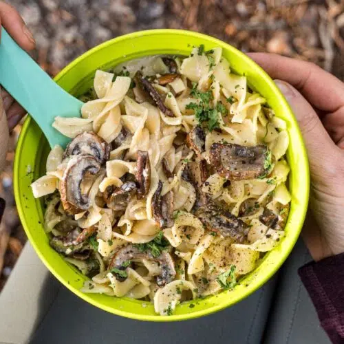 Overhead view of a bowl of mushroom stroganoff