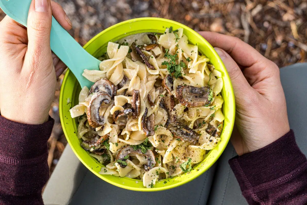 Overhead view of a bowl of dehydrated mushroom stroganoff