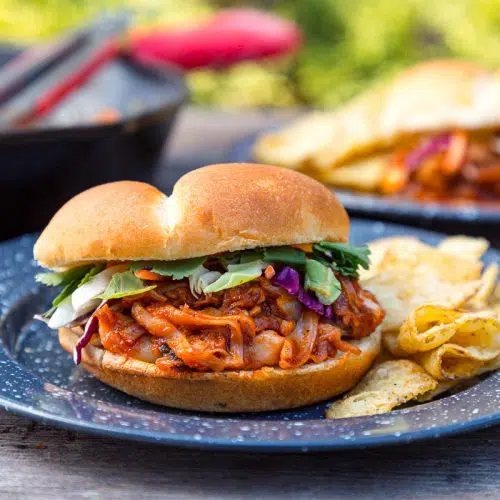 A BBQ Jackfruit Sandwich on a camping plate