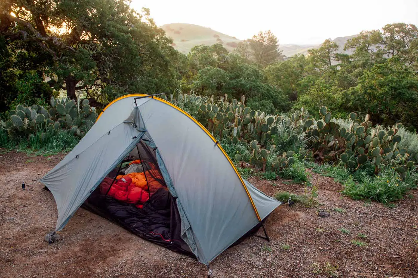 A tent set up at Blackjack Campground