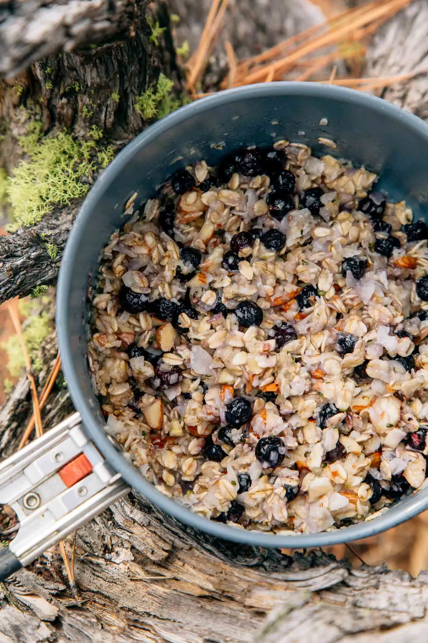 Blueberry coconut oatmeal in a backpacking pot set on a natural background.