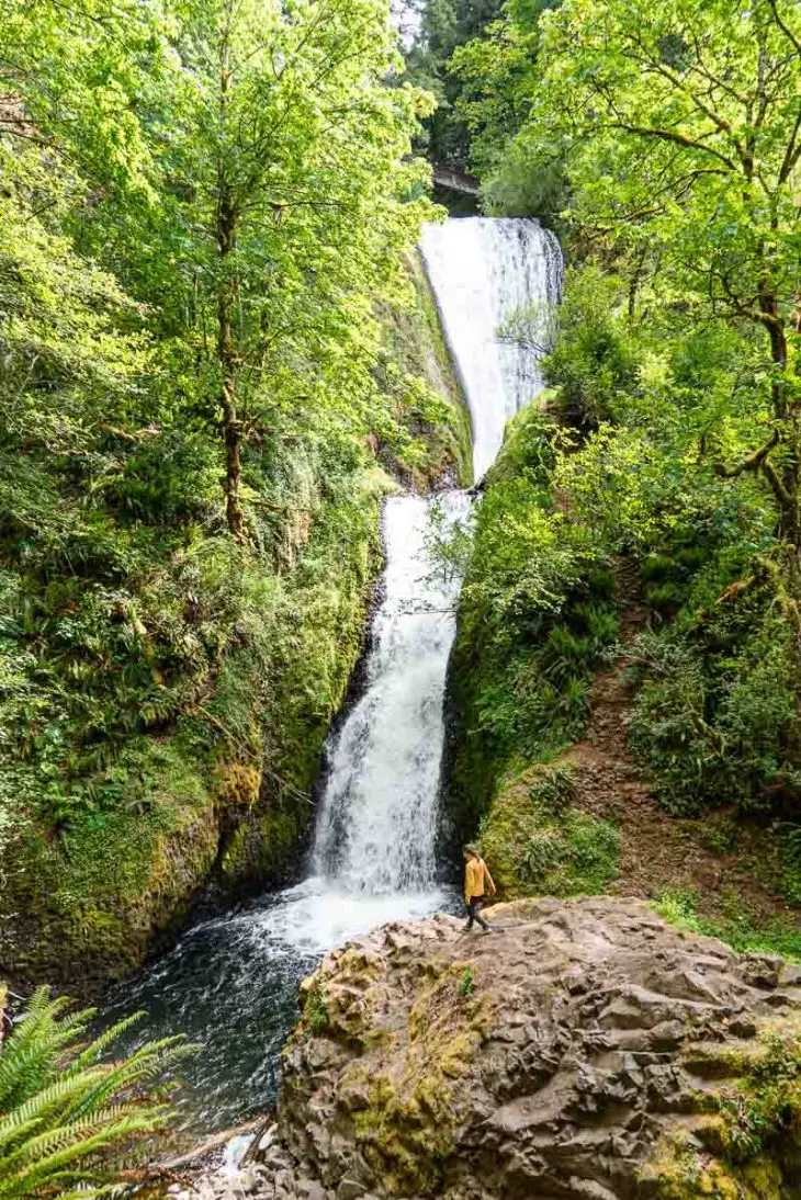 Megan walking on a large rock to see a two-tiered waterfall cascading through green trees.