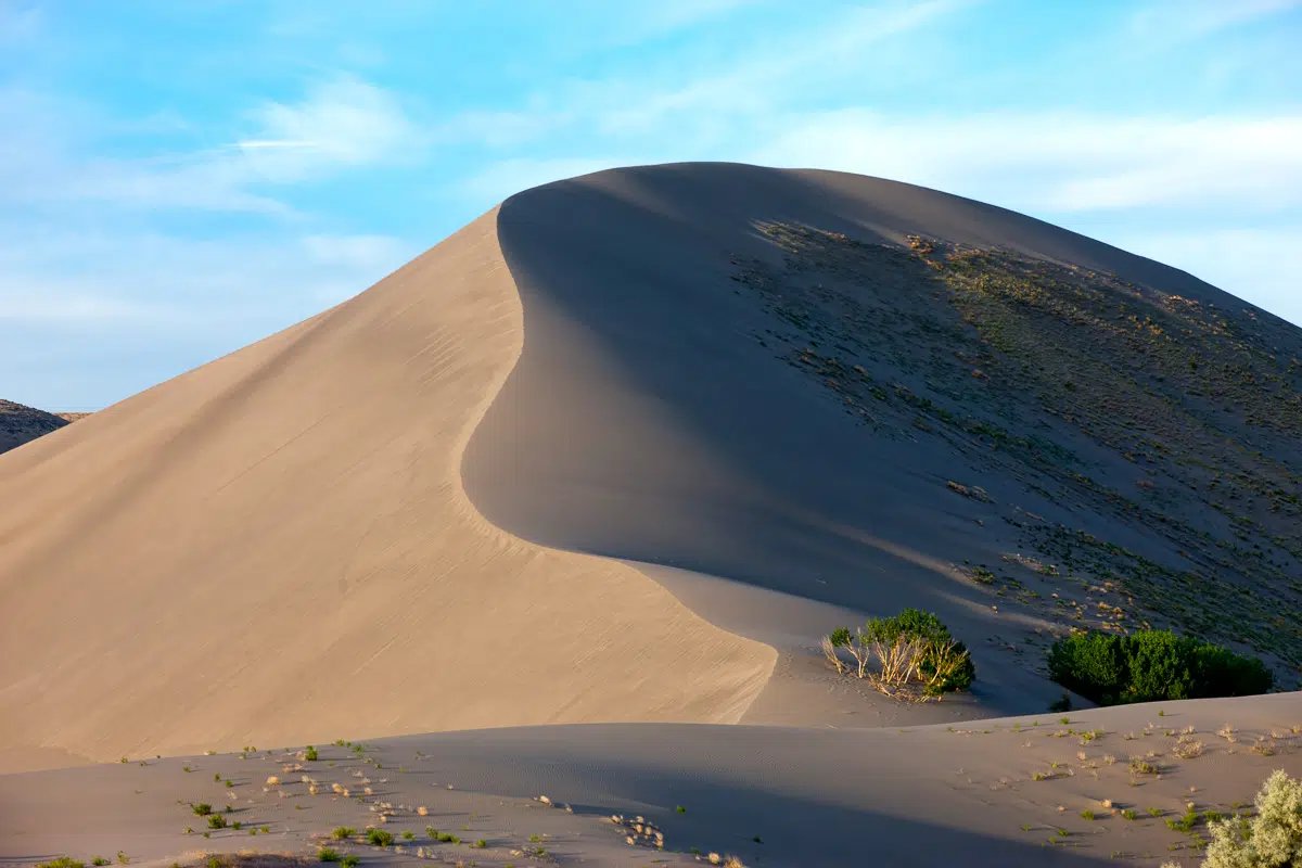 Bruneau Sand Dune