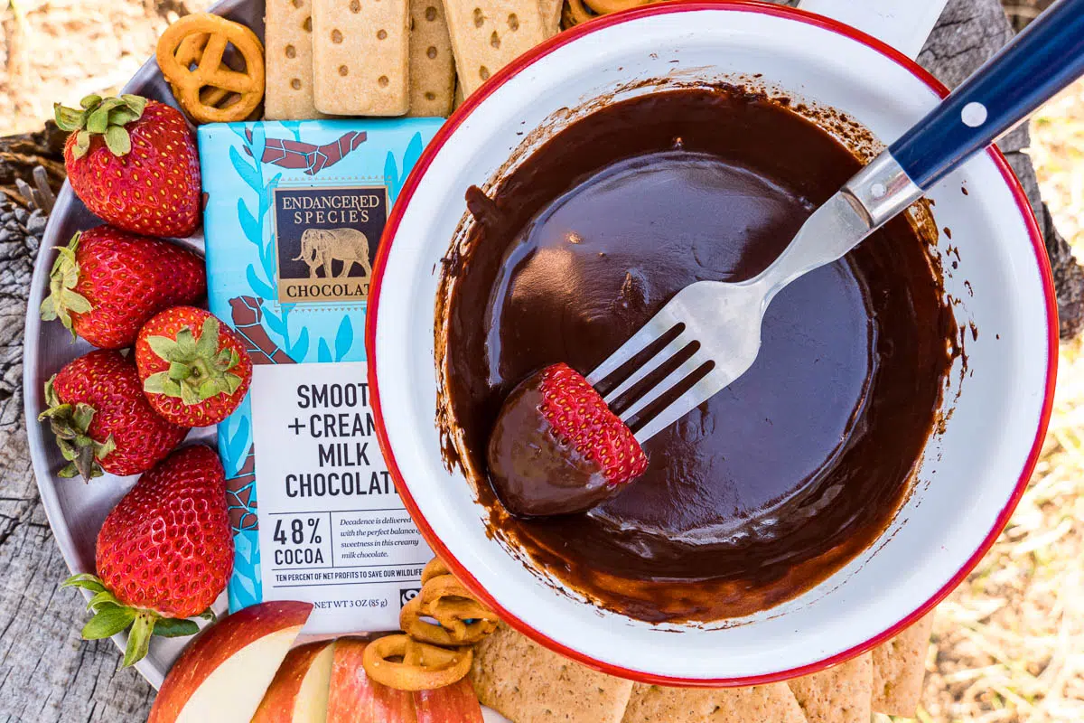 Chocolate fondue surrounded by dipping items