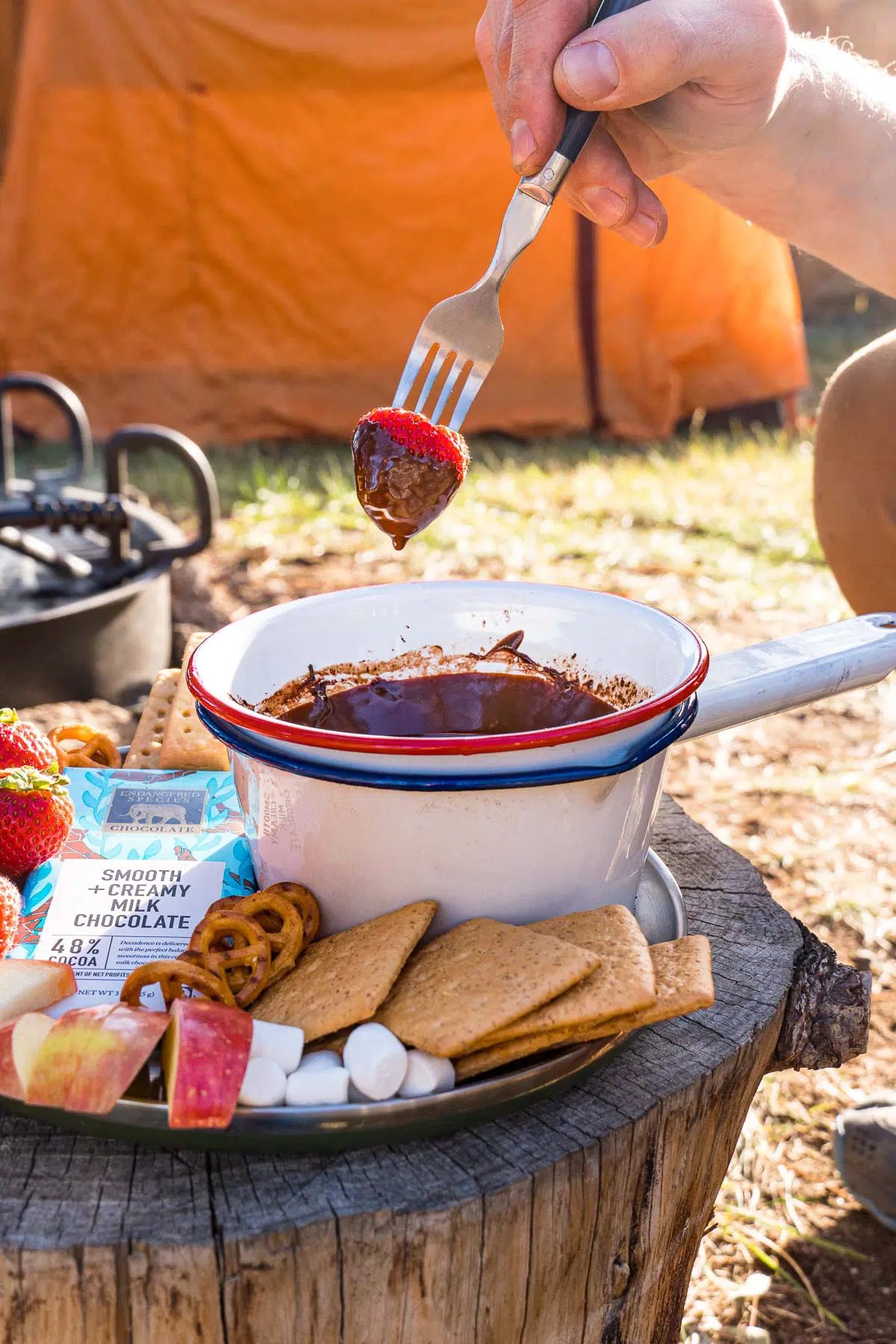 Dipping a strawberry into a bowl of chocolate fondue