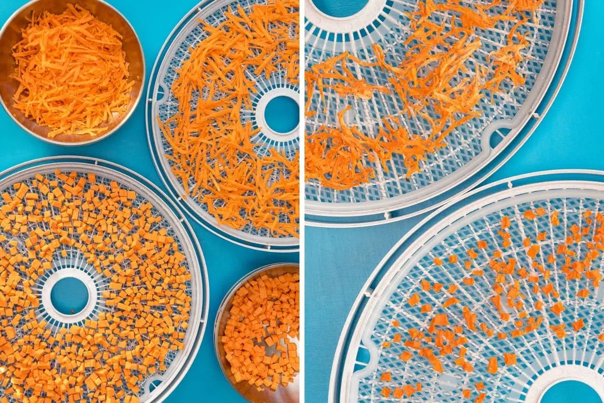 Sweet potatoes before & after dehydrating