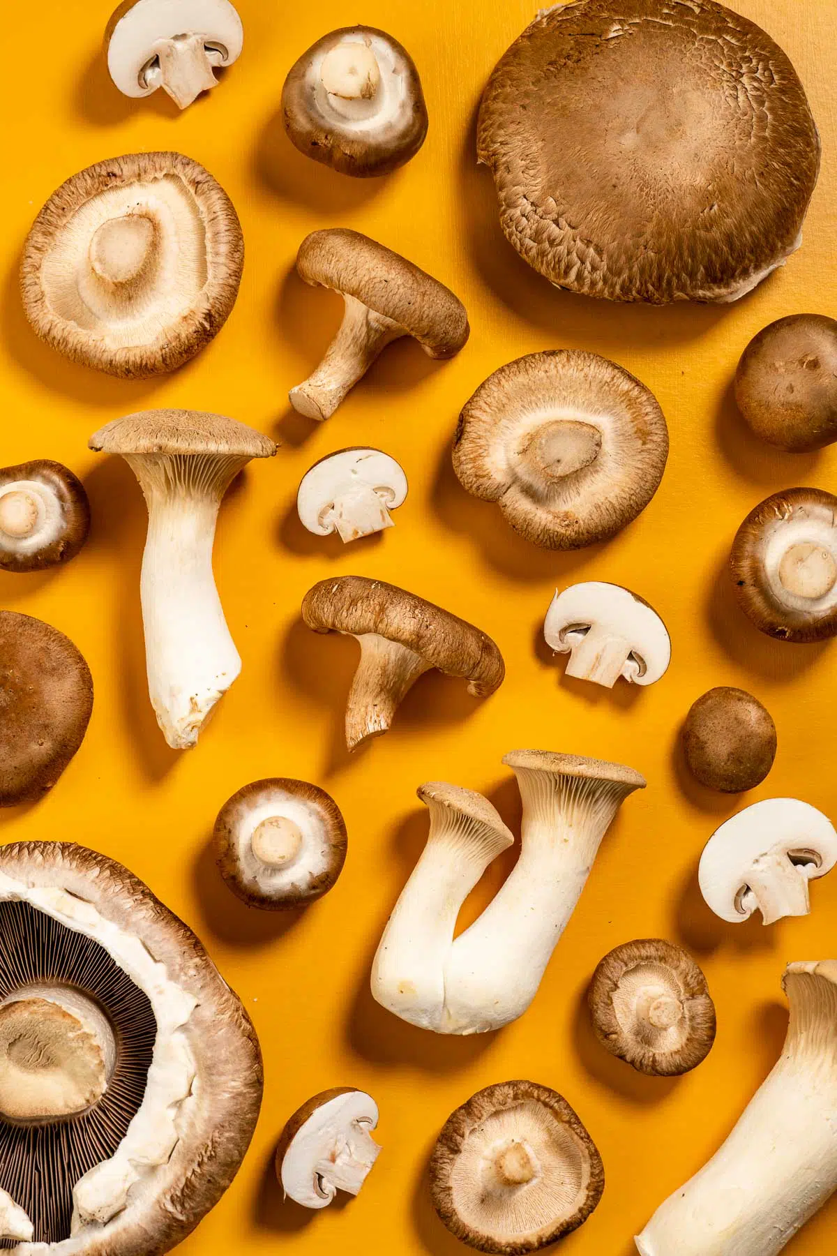 Assorted mushrooms arranged on an orange surface