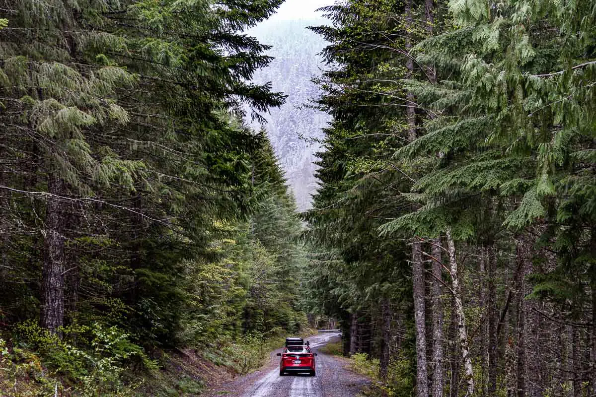 A red Prius Prime driving down a forest road.