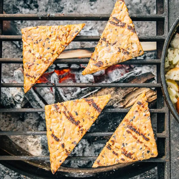 38 Vegan Camping Food Ideas for Plant-Based Adventurers