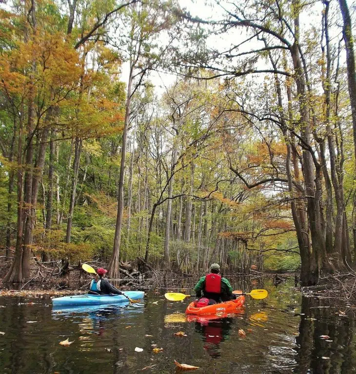 Kayakers on Cedar Creek