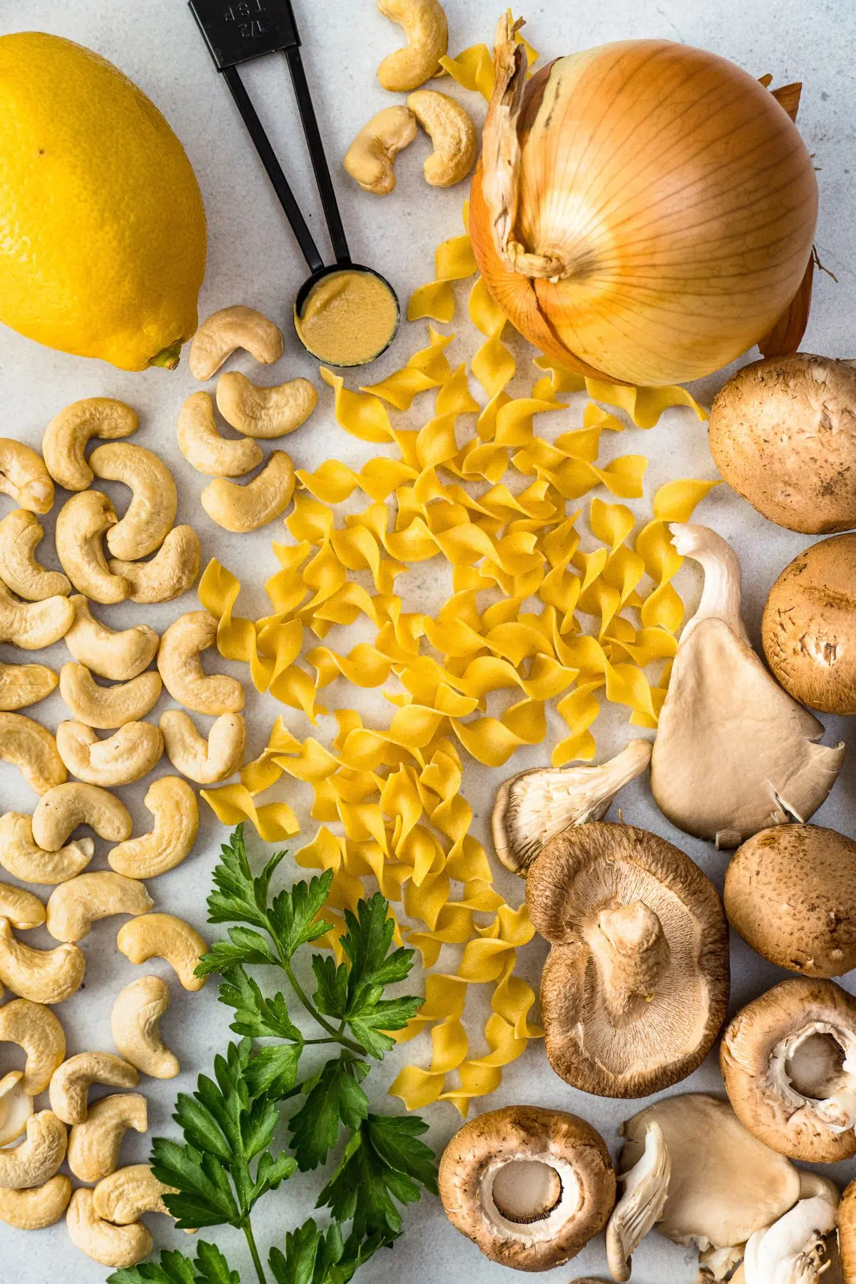 Ingredients for dehydrated mushroom stroganoff