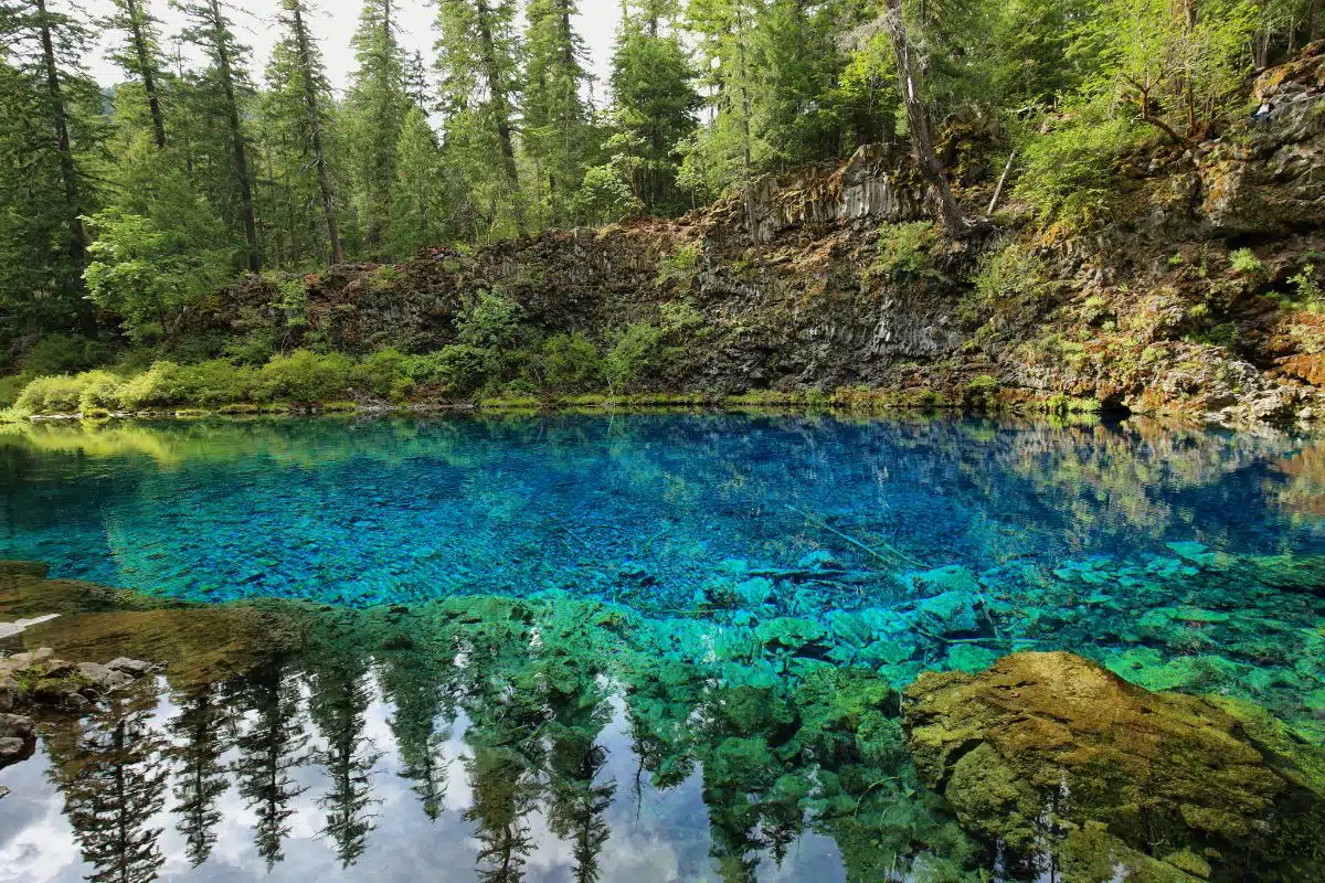 Blue water with the reflections of trees surrounding the Tamolitch Pool