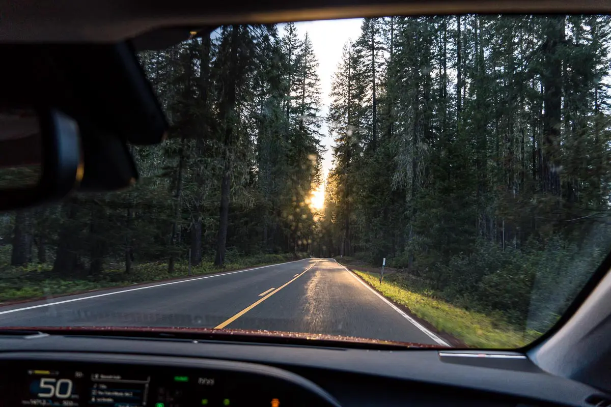 The afternoon sun shines between trees along an empty road.