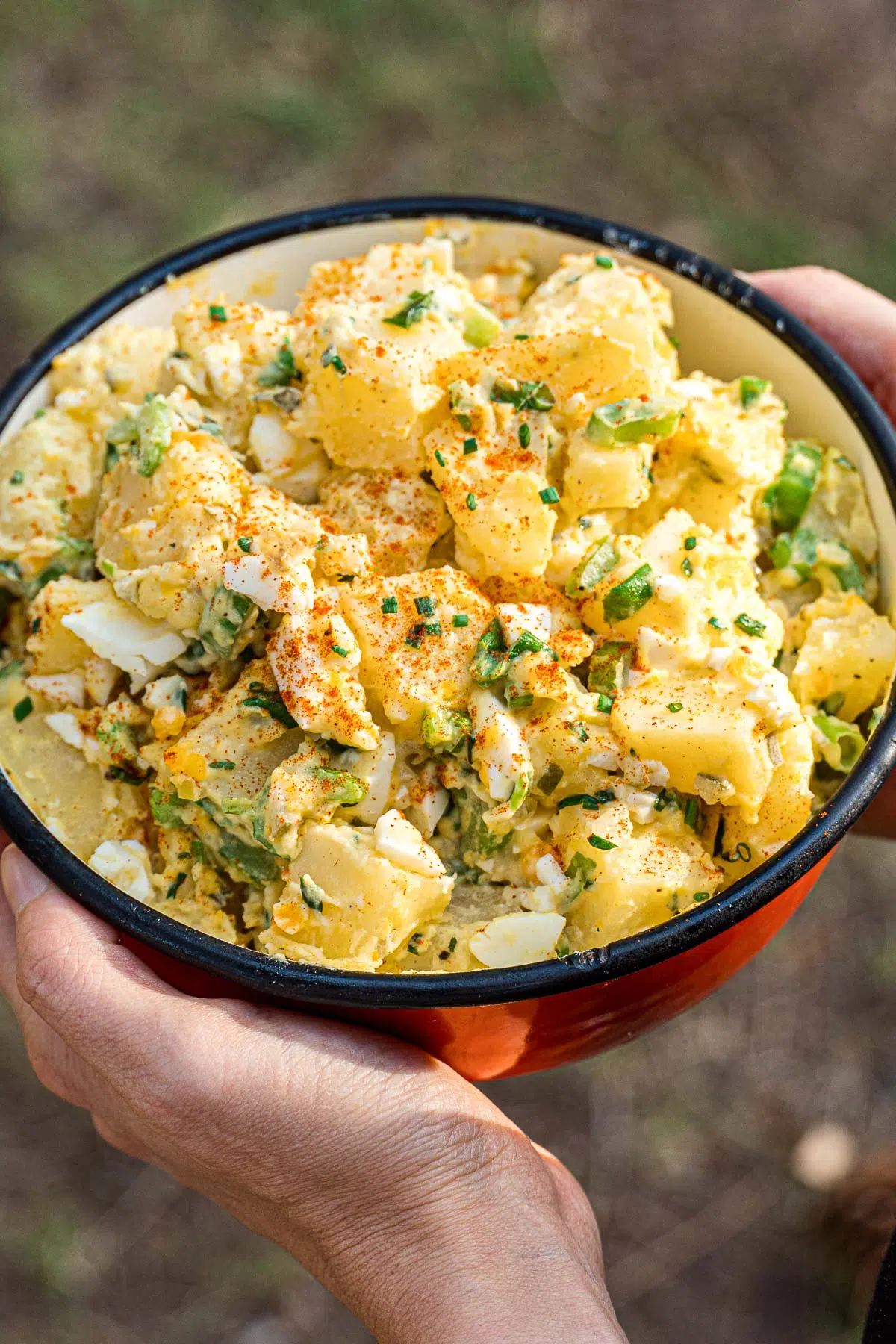 Hands holding a bowl of potato salad