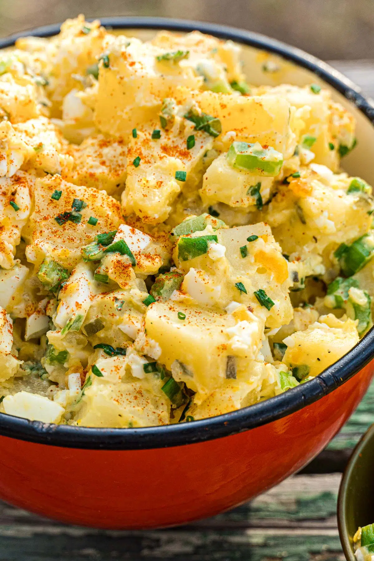 Potato salad in a red enamel bowl