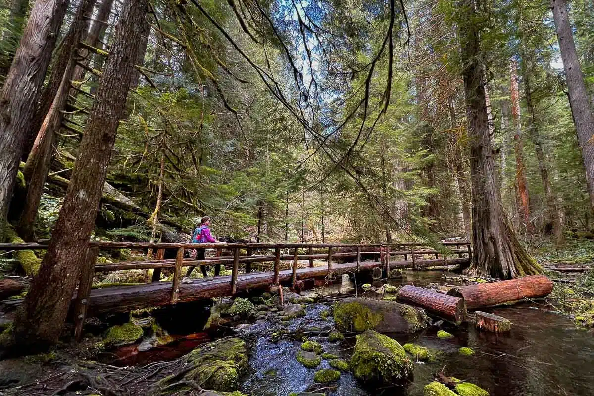 Megan crossing a wooden bridge on the McKenzie River Trail.