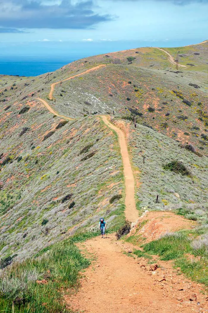 A woman backpacking up a steep hill on the Trans Catalina Trail