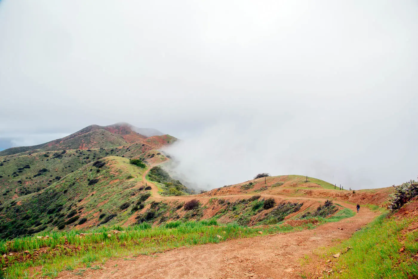 Ridgeline on the Trans Catalina Trail