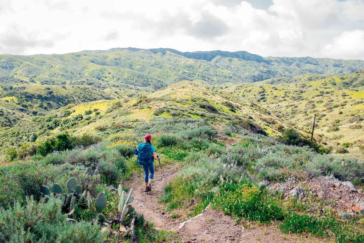 Woman hiking on a trail surrounded by cactus and sagebrush