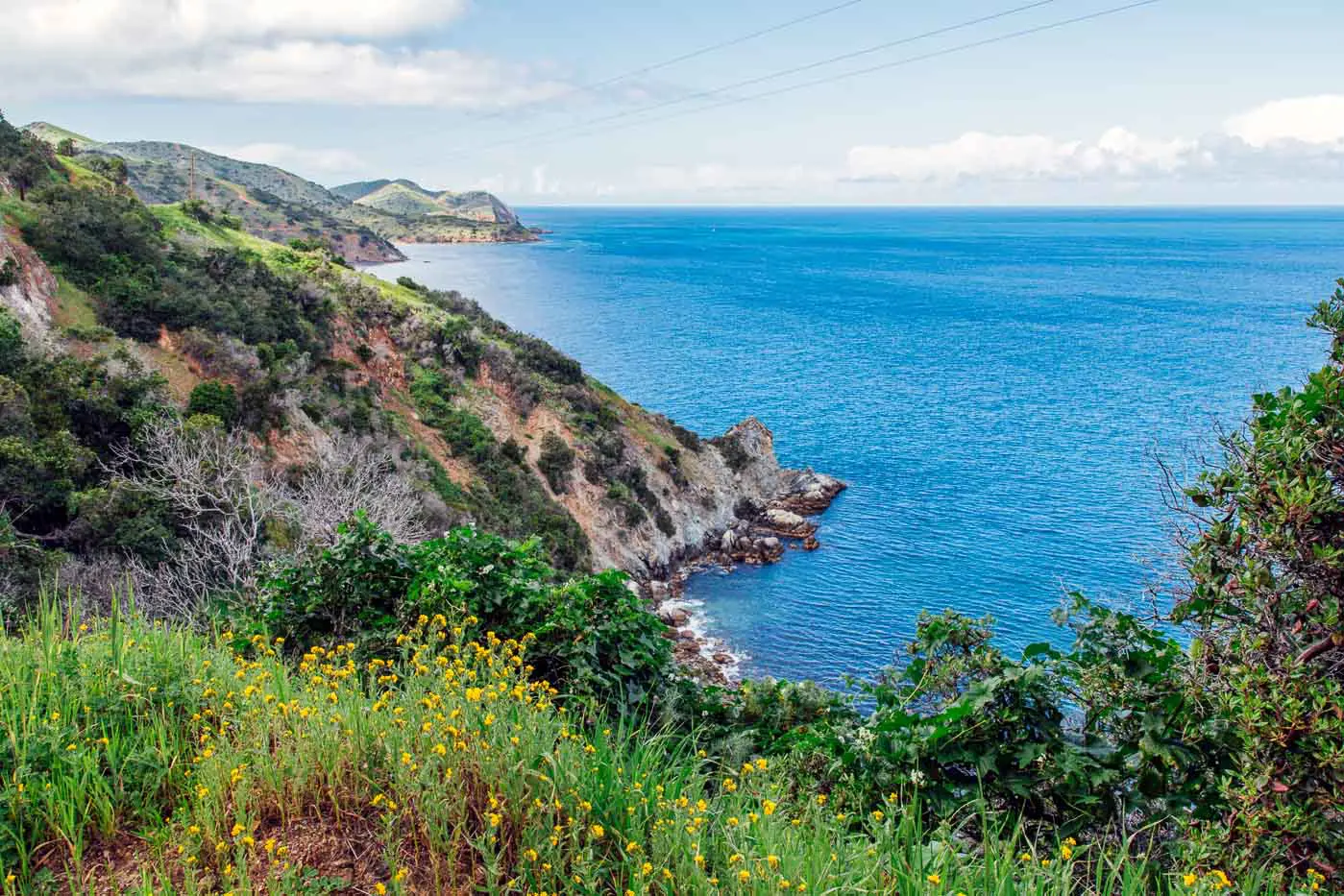 A green Catalina Island hillside meeting the ocean.