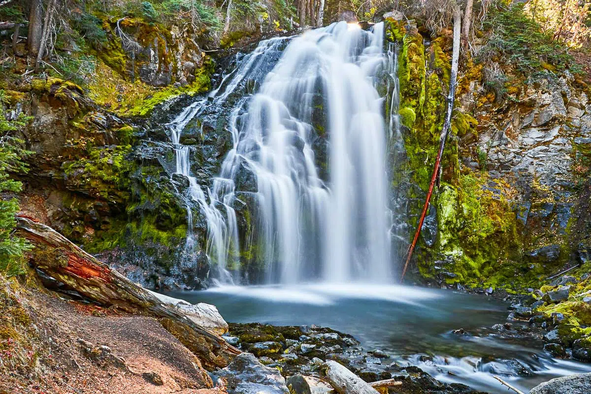 A waterfall cascading down a mossy rock into a small pool