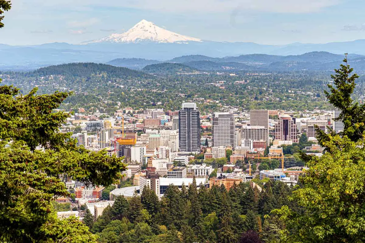 Tree branches framing a view of the city of Portland Oregon with Mt. Hood in the background.